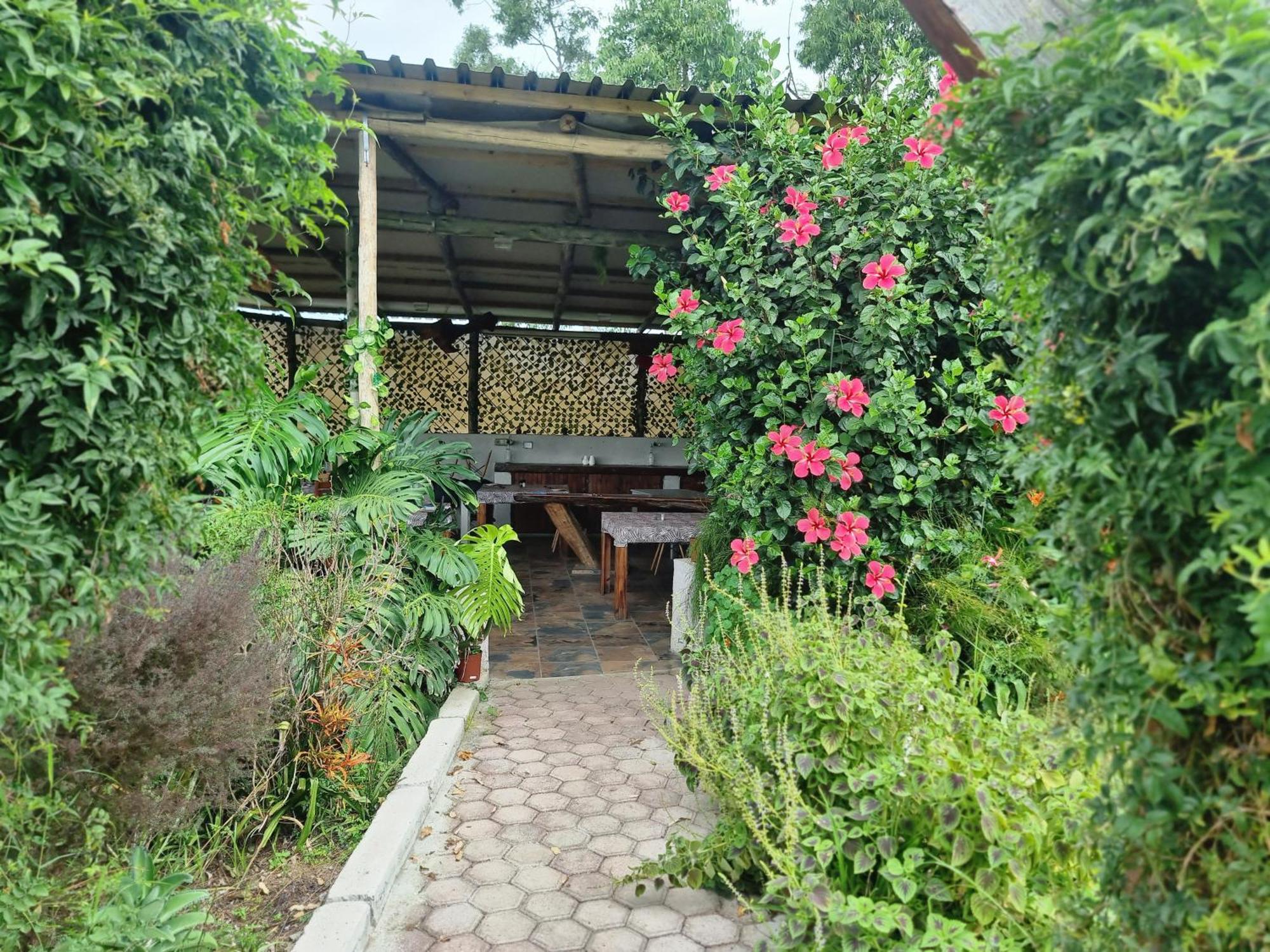 Goggas Nest BNB&Restaurant Matsapha Exteriör bild